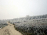 Kráľova hora